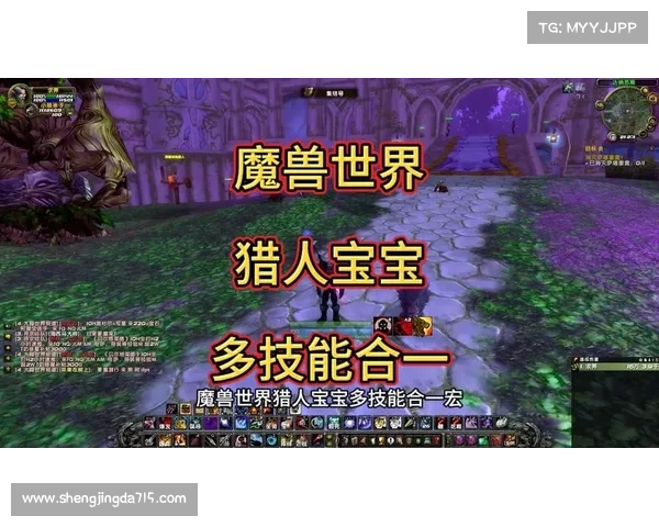 魔兽世界宝宝技能升级攻略 魔兽世界宝宝技能升级攻略