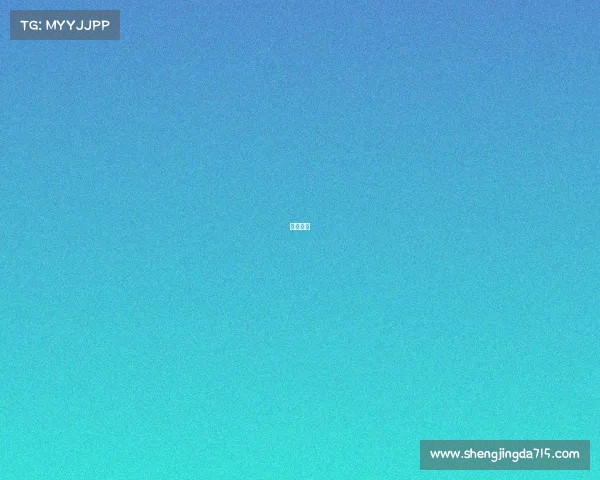 碟王之王 碟王之王